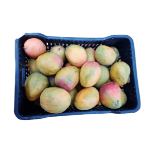 Fresh Mangoes for Sale on Sabamarketplace.com
